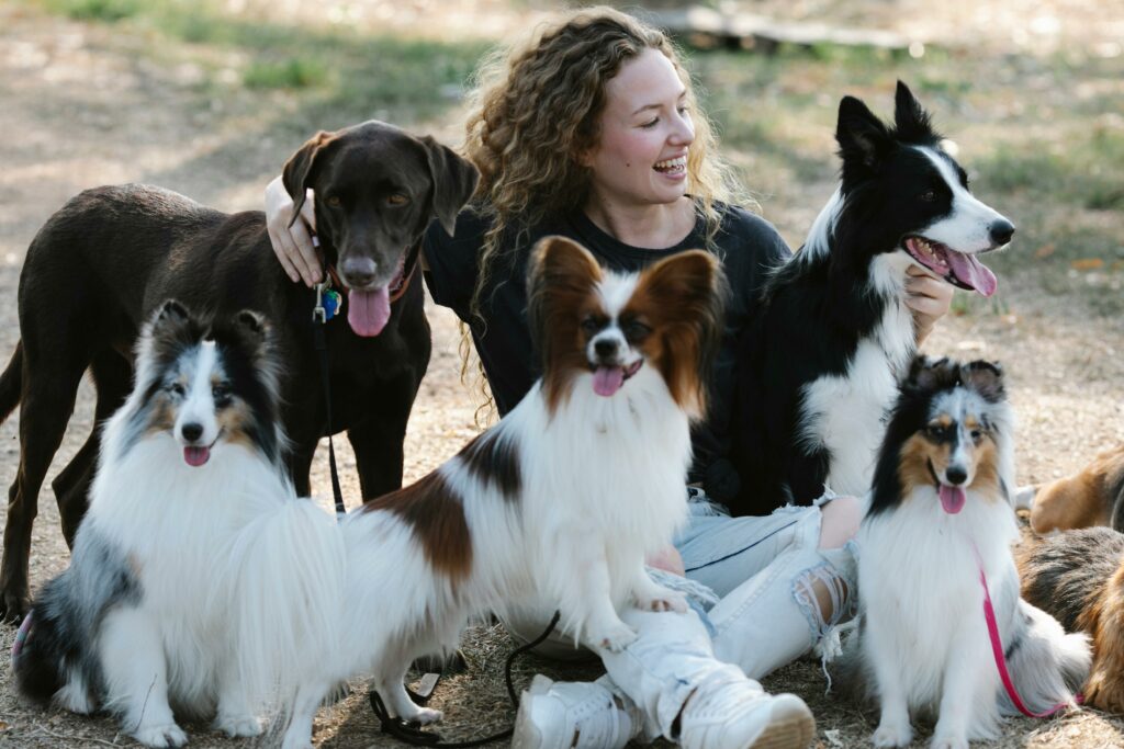 Frau mit verschiedenen Hunden